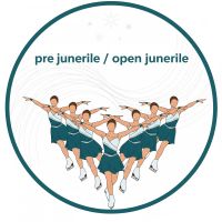 open juvenile synchro team icon